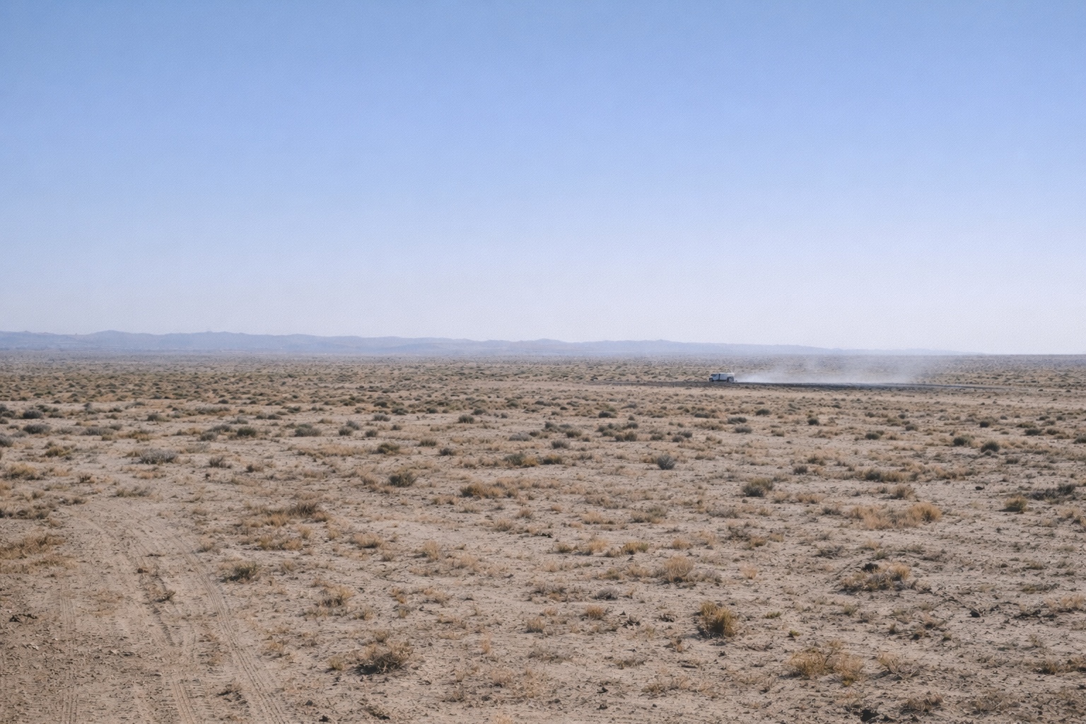 Arid & Desert Environments